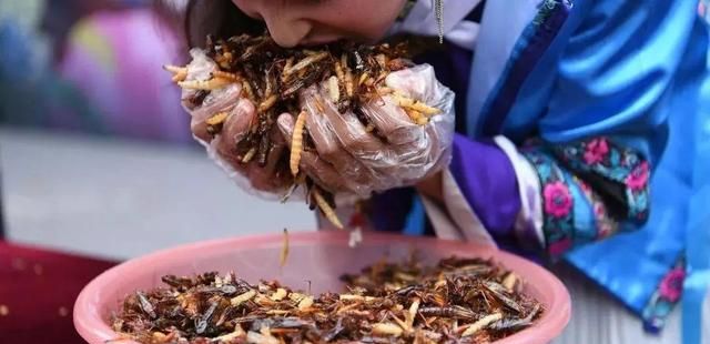 吃虫子野蛮云南人第一个不答应百虫宴欢迎免费来尝尝