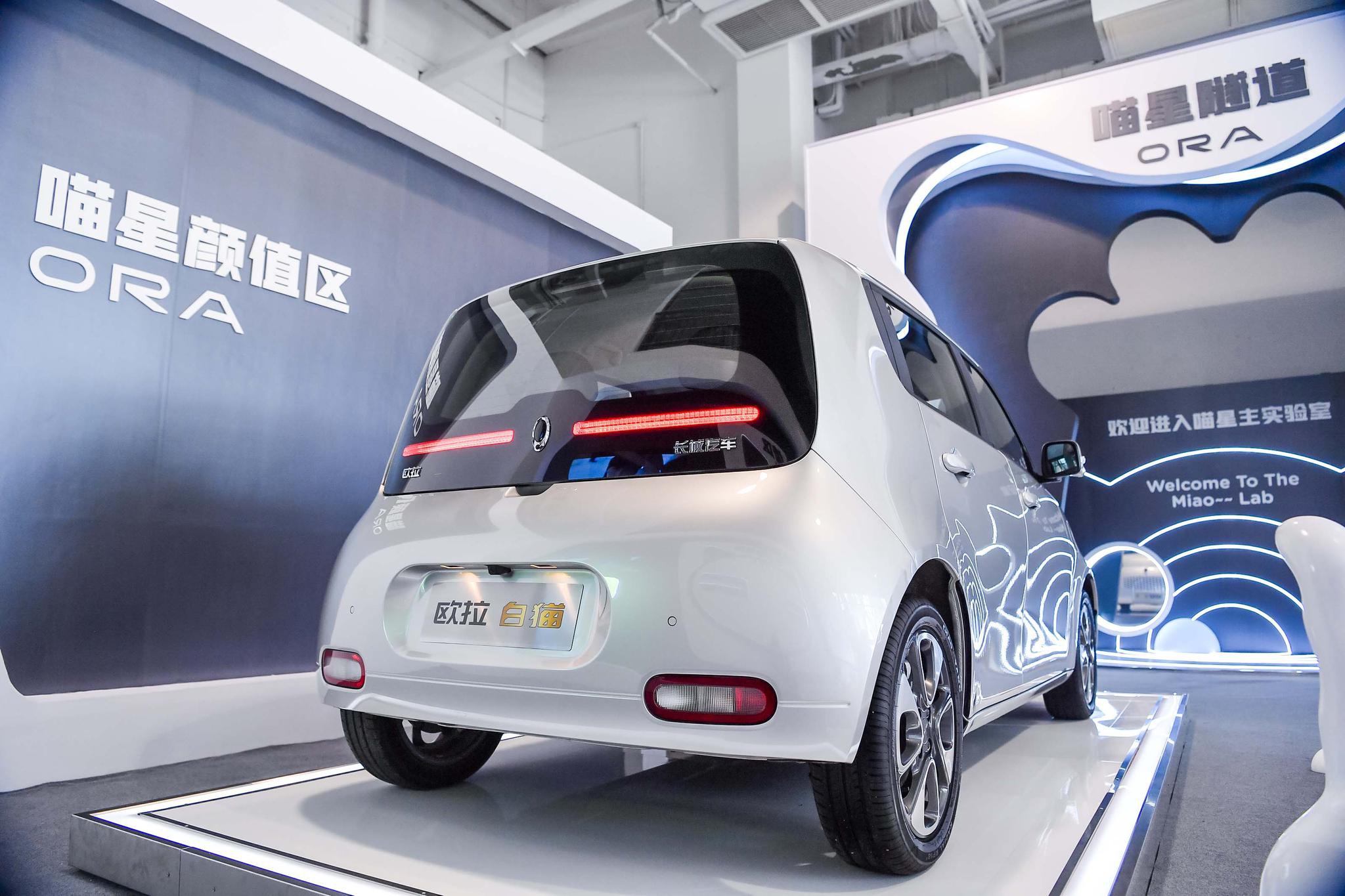 喵星人来啦欧拉白猫正式上市售价758万888万元