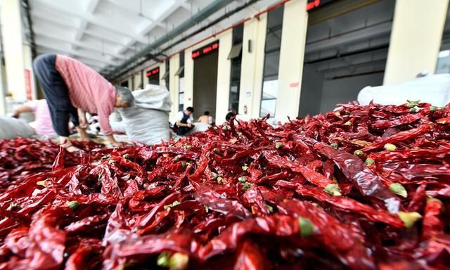 长春哪家的椒麻鸡正宗好吃 (长春哪家的椒麻鸡好吃)