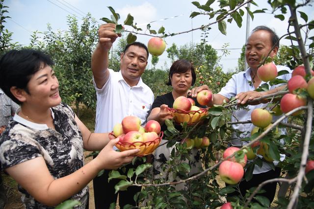 杞县:美丽沙沃入镜来