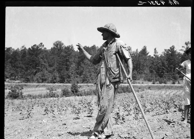 大萧条时期美国政府专门聘请了一群摄影师拍摄农民的真实生活