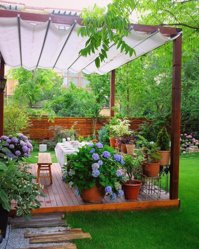 一楼带院子和低层带露台的房子,如何防蚊灭虫?建议收藏