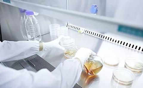 判决书曝麦吉丽多级代理模式涉嫌传销 上线下线