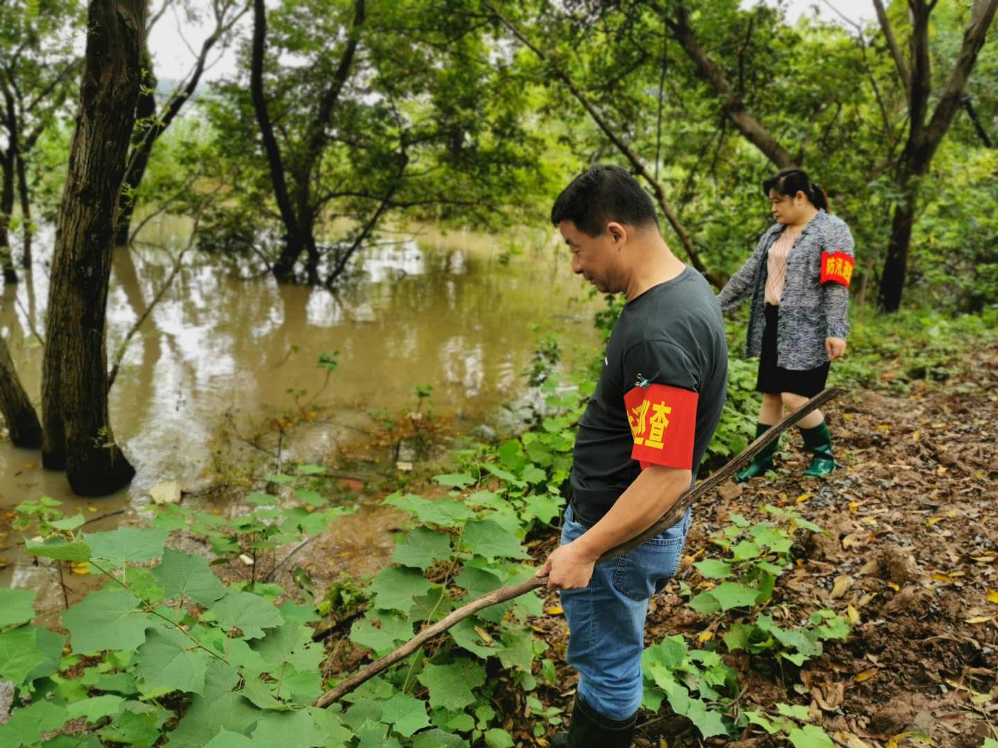3位"定海神针"巡堤50年大桥镇水务站副站长马荣介绍,长江嘶马弯道,是