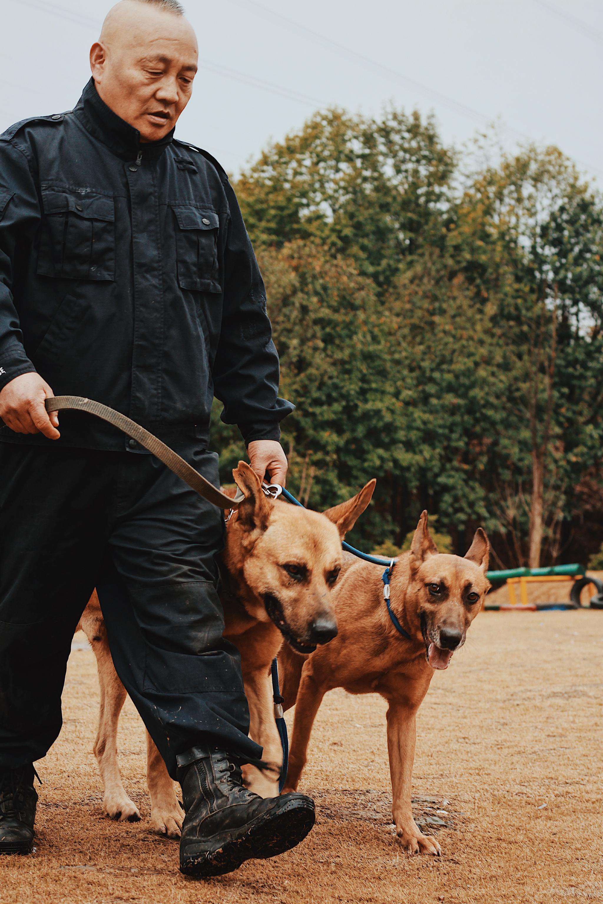 警犬年轻时协助他破案,年迈时需要他照顾,白雁觉得退役的警犬就像家里的老人一样。