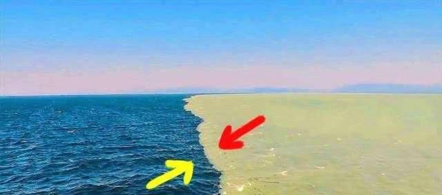 为啥大西洋和太平洋海水,永远不相融在一起?看完我才明白