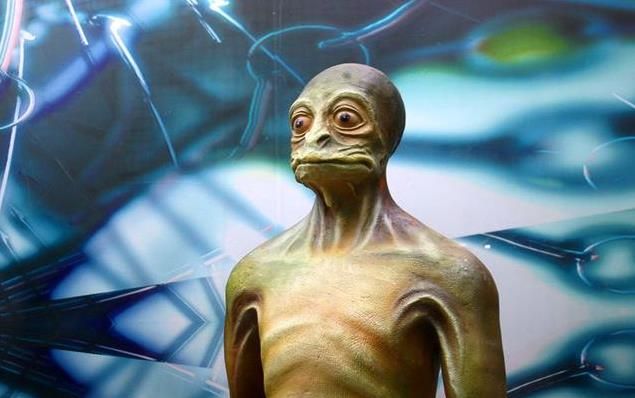 原因的那篇文章中,提到过莱瑟塔的祖先们当时与恐龙生活在同一个时期