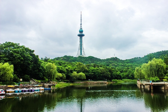 青岛中山公园,拥有百年历史的一个公园,承载了太多青岛人的记忆