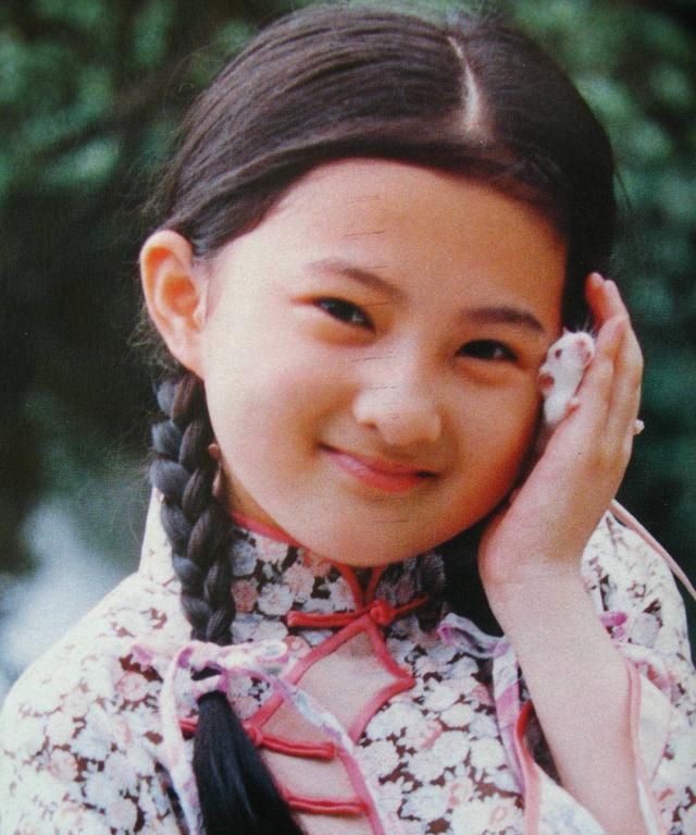 婉君|金铭|撒贝宁_新浪新闻