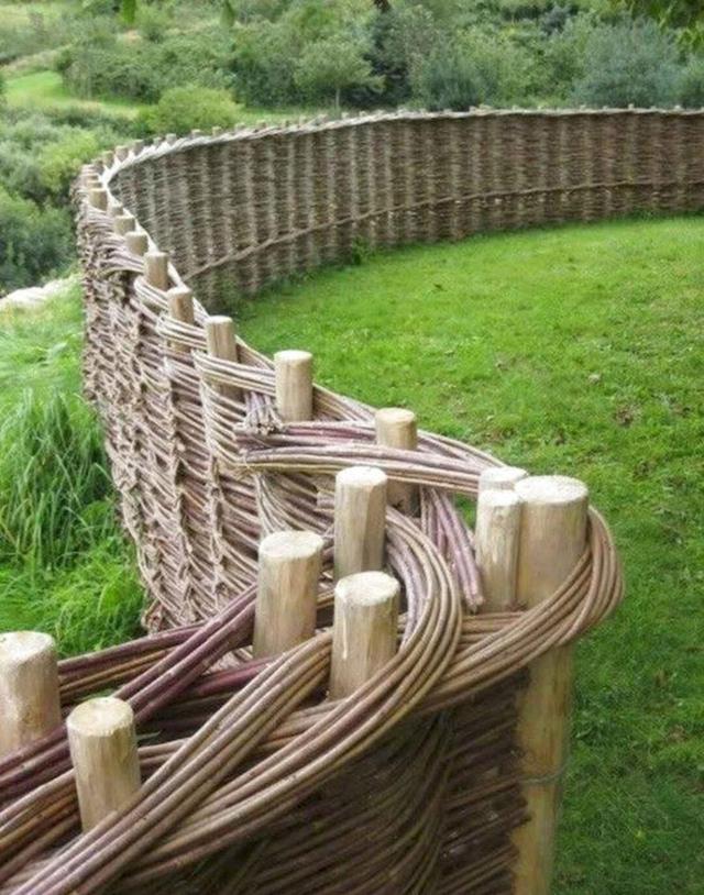 暑假回农村表哥家串门,一进院就被篱笆墙吸睛了,这小院真带劲!