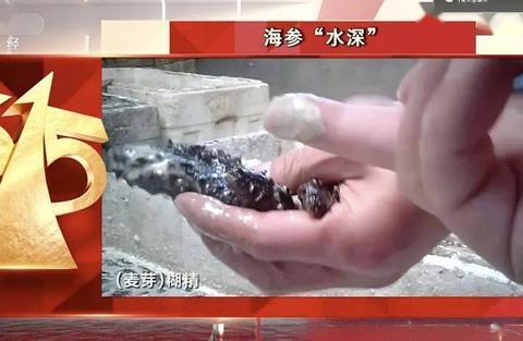 被央视315曝光的毒海参即便没加敌敌畏医生也不建议你多吃