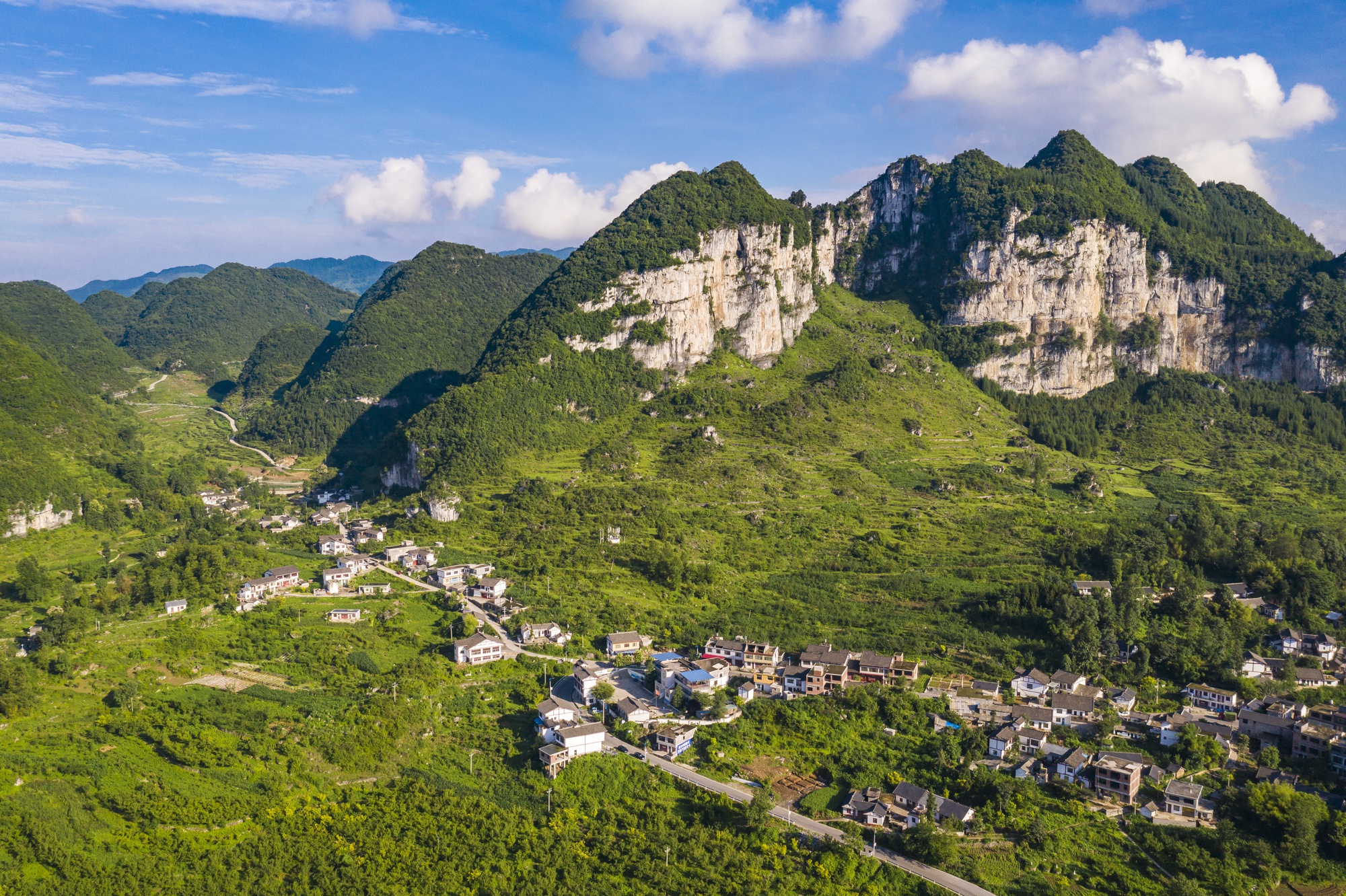 贵州大山有位"煤老板",耗时11年投资2亿元,荒山变身万亩茶园|贵州|茶