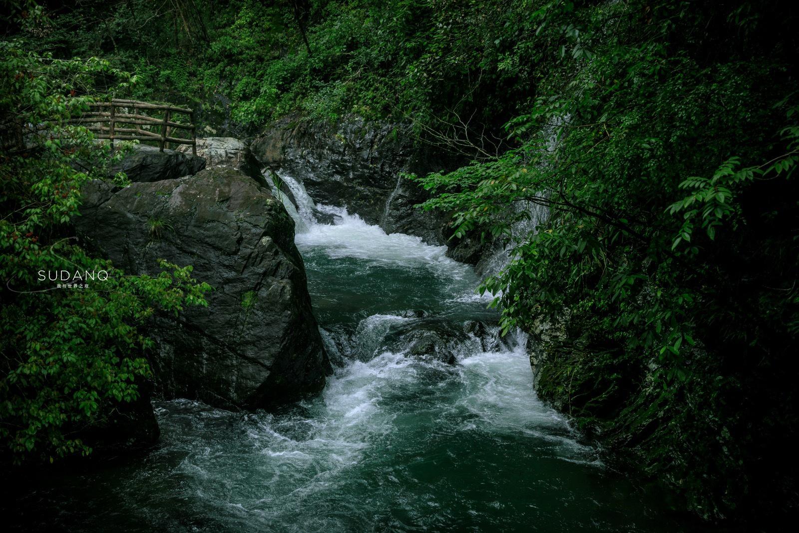 峡谷幽深清泉淙淙怪石嶙峋古木如盖