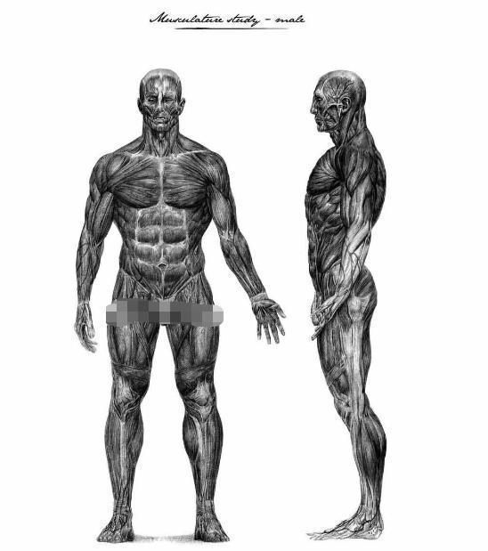 《异形》:漫画赏析,大卫手稿,概念设计,恐怖而精彩的故事