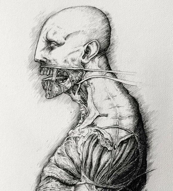 《异形》:漫画赏析,大卫手稿,概念设计,恐怖而精彩的故事