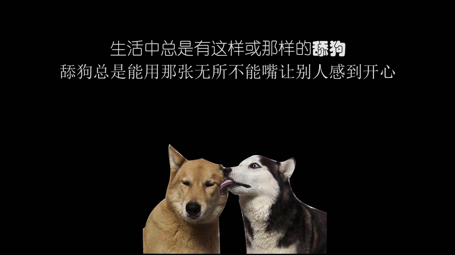 不会吧不会吧,不会真有人想劝身边的舔狗回头吧?