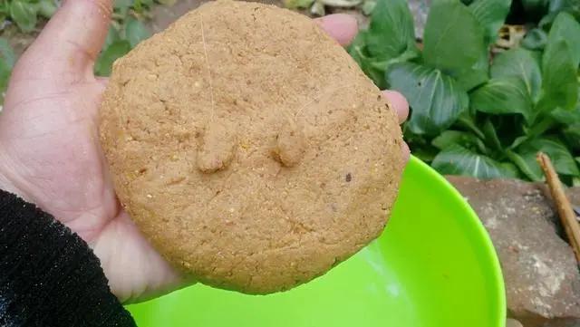 夏钓鲫鱼开制搓饵与拉饵诱钓结合轻松避小鱼