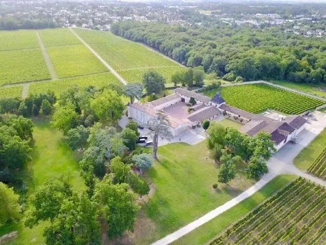 赵薇-法国梦陇酒庄