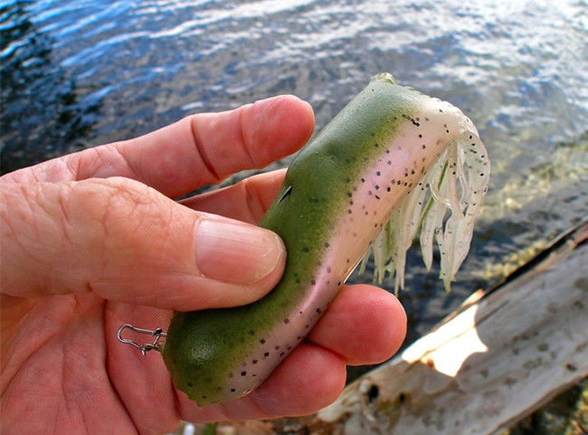 男子走在海边无意间发现怪异的鱿鱼,拿起来一看吓到了