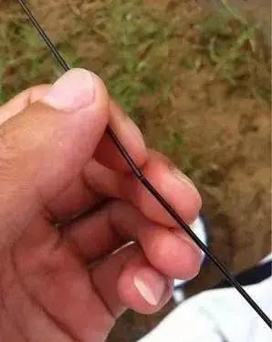 熟悉断竿细节,再也不用担心私房钱存不住了