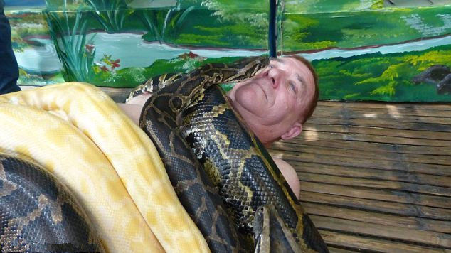 来自蟒蛇与你身体的零距离接触,让人胆颤不止的另类体验