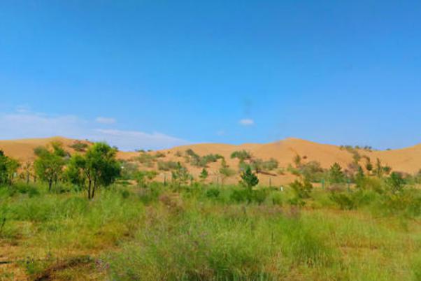 首当其冲的在是俄罗斯的这个查拉沙漠,因为出现的原因特殊,是在地质