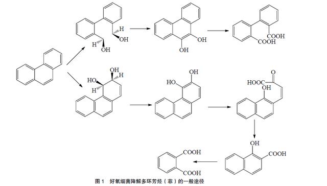 太空是什么味道?国外公司推出太空味香水,网友:皇帝的新装?