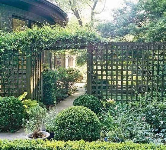 围墙的植物景境设计——围墙在藤蔓包围下,生动活泼,富有生气!