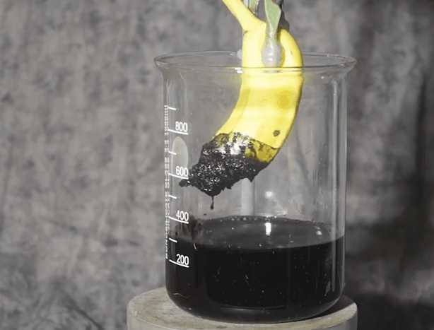 硫酸虫一般都生活在哪里