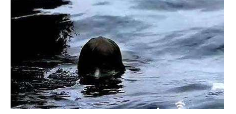 男人在水里游泳，却被奇怪生物拉住，上岸看到东西后吓了一跳休闲区蓝鸢梦想 - Www.slyday.coM