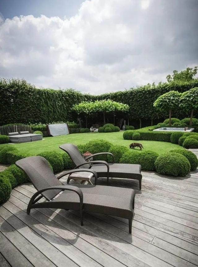 围墙的植物景境设计——围墙在藤蔓包围下,生动活泼,富有生气!