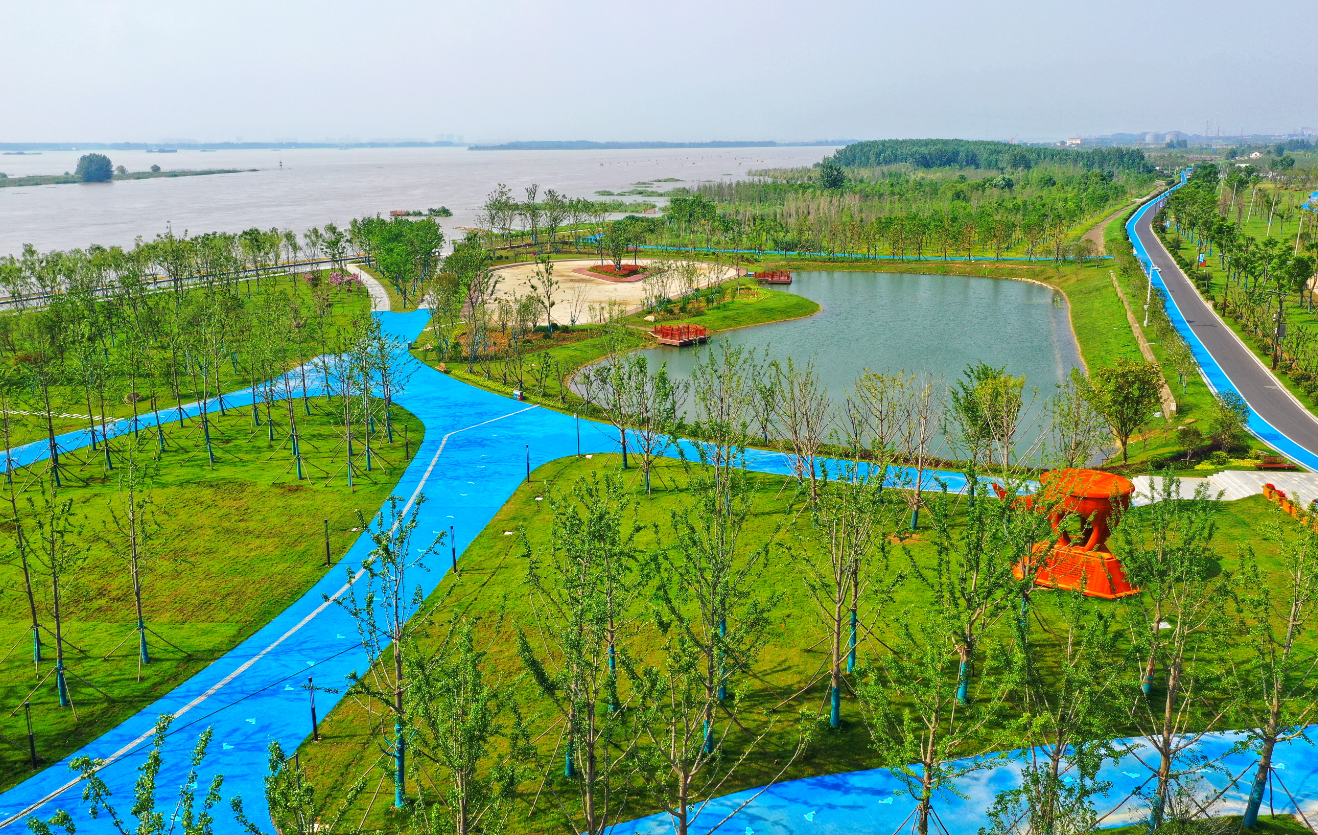长江岸线整治增色生态画卷,绿色发展添"引擎"