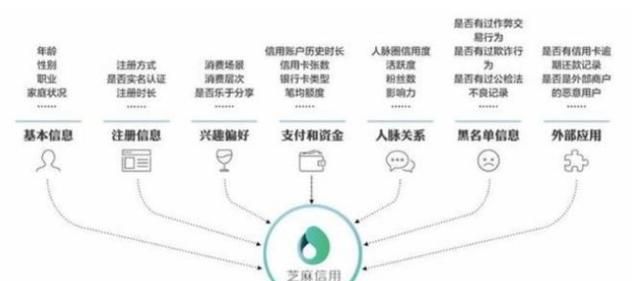 手把手教你通过这些高效方法轻松养出优质账号