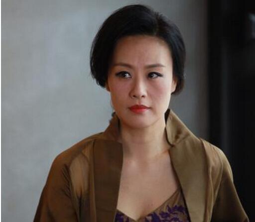 2013年邬君梅与孙俪,张译,张晨光合作主演电视剧《辣妈正传》,她在剧