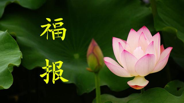 这5种人,越老越有福气,希望其中也有你