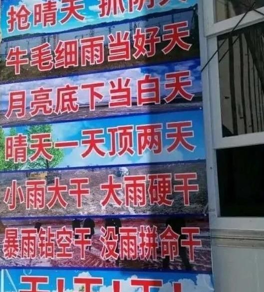 top4 工地励志标语:淦!