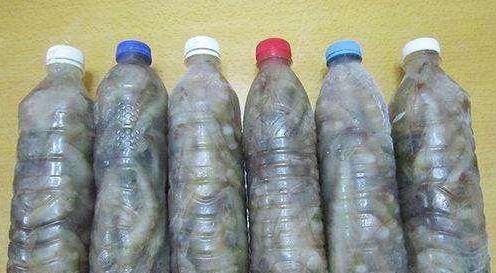 1,先找一些矿泉水瓶子或饮料瓶,这可是大虾保鲜的法宝,因为这些瓶子的