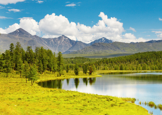 7月底,风水轮流转,4属相鸿运满天飞,喜事多多,前途一片光明