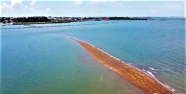 看到了湛江港合水线