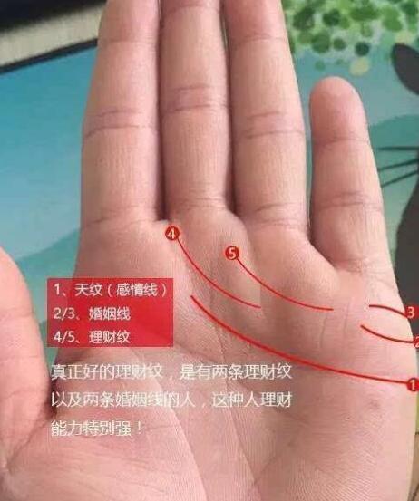在手掌激情线上方有一条平行的纹路叫做理财纹,理财纹长得深长的人