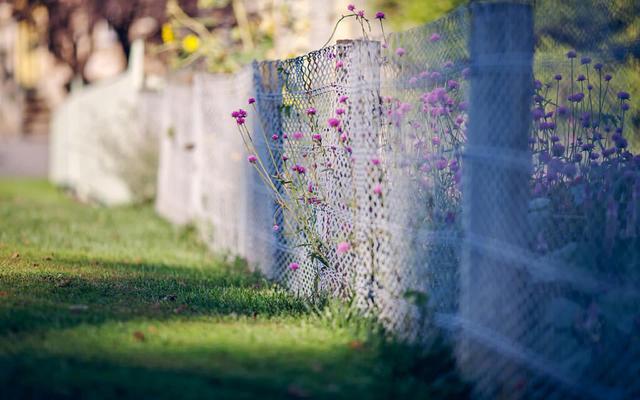 最近面泛桃花,能获得天赐情缘的星座!