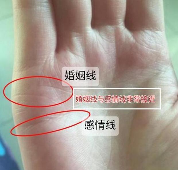 理财纹长得深长的人,必有大财,一生财富滚滚|财富|一生|婚姻线_新浪