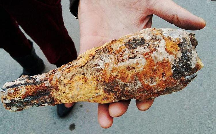 男子在自家地里挖出来一块铁疙瘩, 找专家鉴定后高兴了