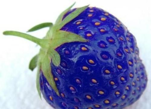 世界上最奇葩的草莓拥有各种奇形怪状一颗售价14万日元