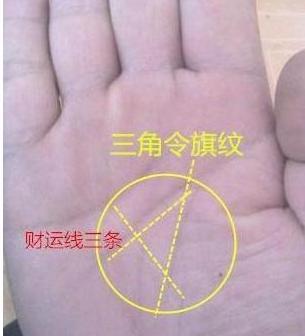 有这样手纹的人从事商业或者是涉足政界一生都不用为钱而发愁