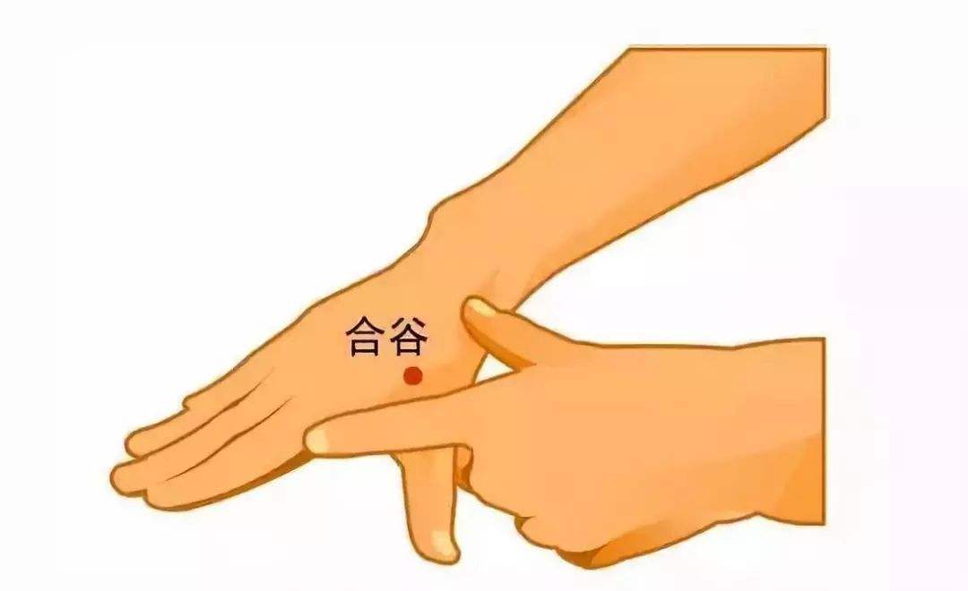 人体有些穴位经过按摩之后对于防治晕车很有帮助,比如合谷穴,按摩时可