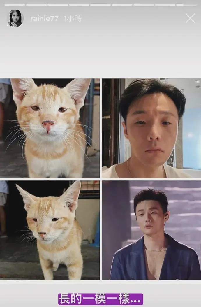 情人节的时候也发了一张神似李荣浩的狗狗.