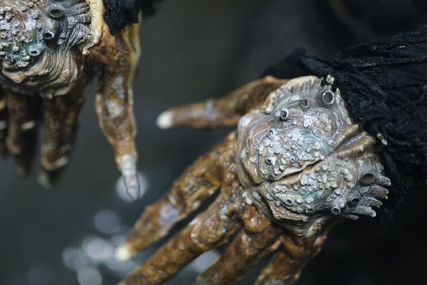 《重启之极海听雷》好看的太多,除了铁三角,这两件事也值得点赞