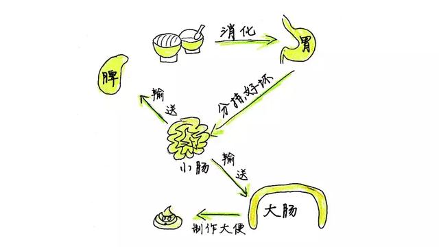 湿是湿津液是津液