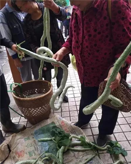男子菜市场卖"大青蛇",蛇状造型相当唬人,原来是一种瓜类